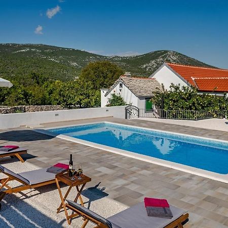 House Camellia With Fenced Pool And Playground Villa Blizna Donja Екстериор снимка