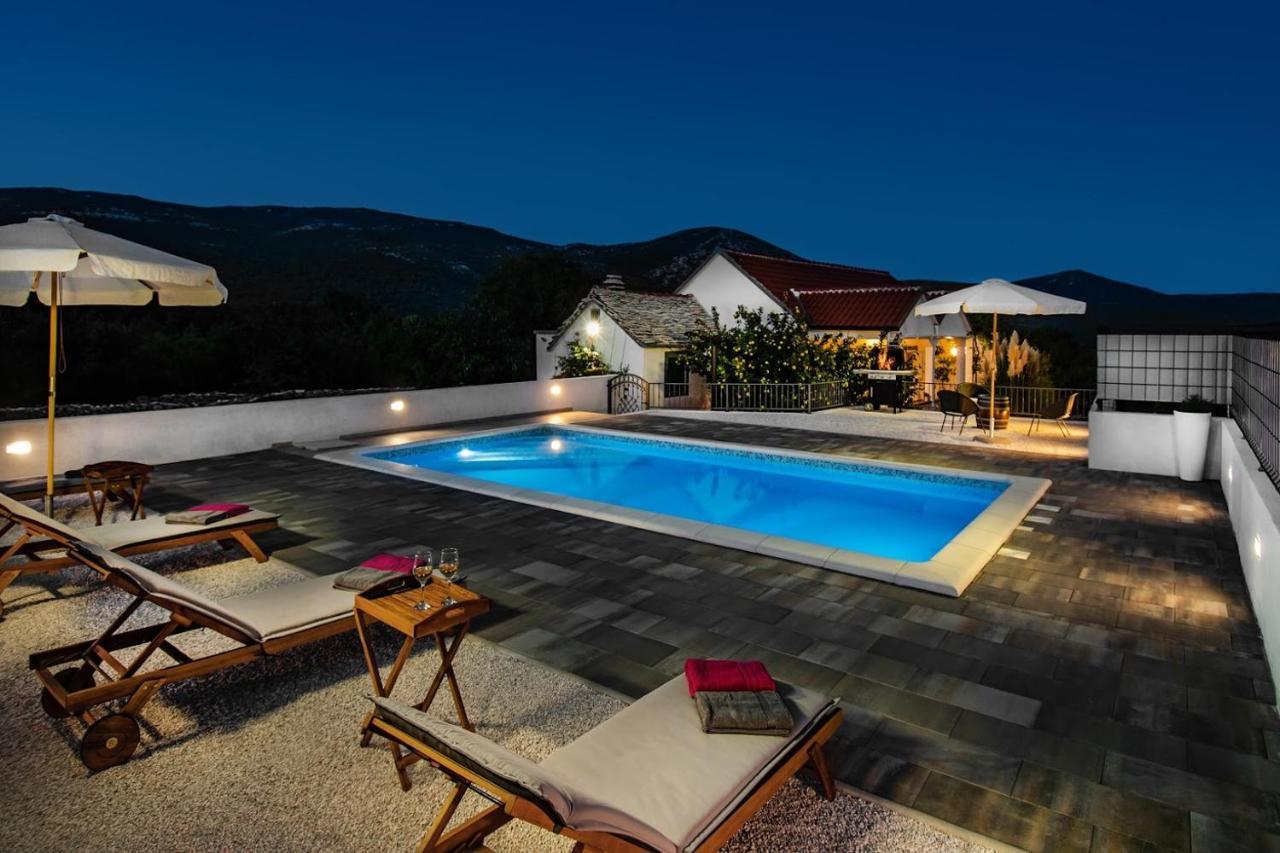 House Camellia With Fenced Pool And Playground Villa Blizna Donja Екстериор снимка