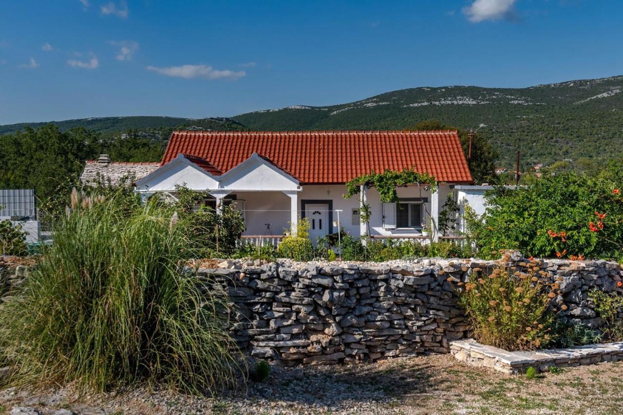House Camellia With Fenced Pool And Playground Villa Blizna Donja Екстериор снимка