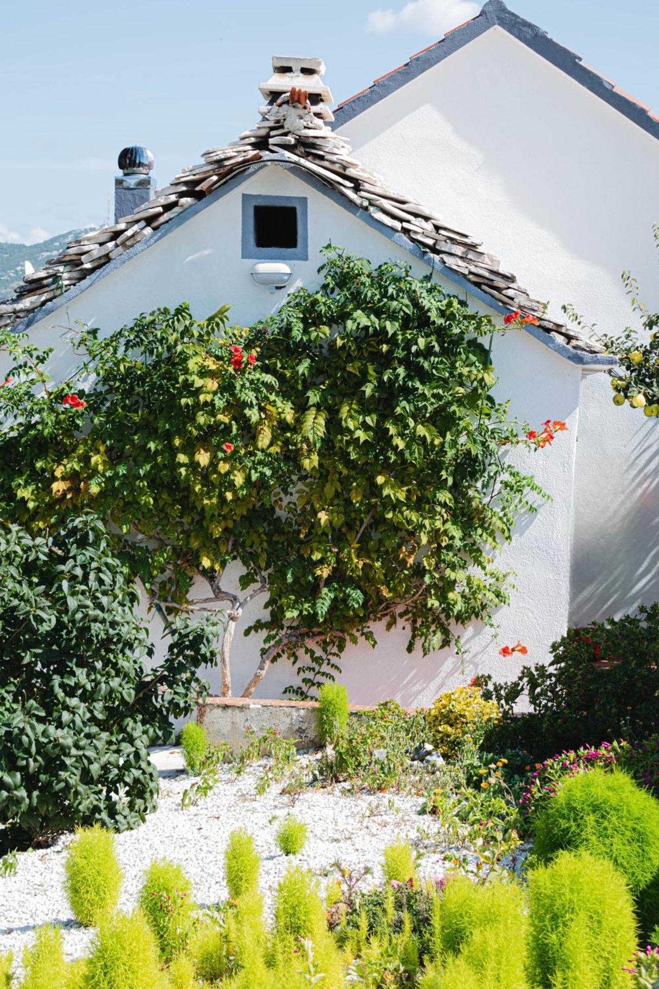 House Camellia With Fenced Pool And Playground Villa Blizna Donja Екстериор снимка